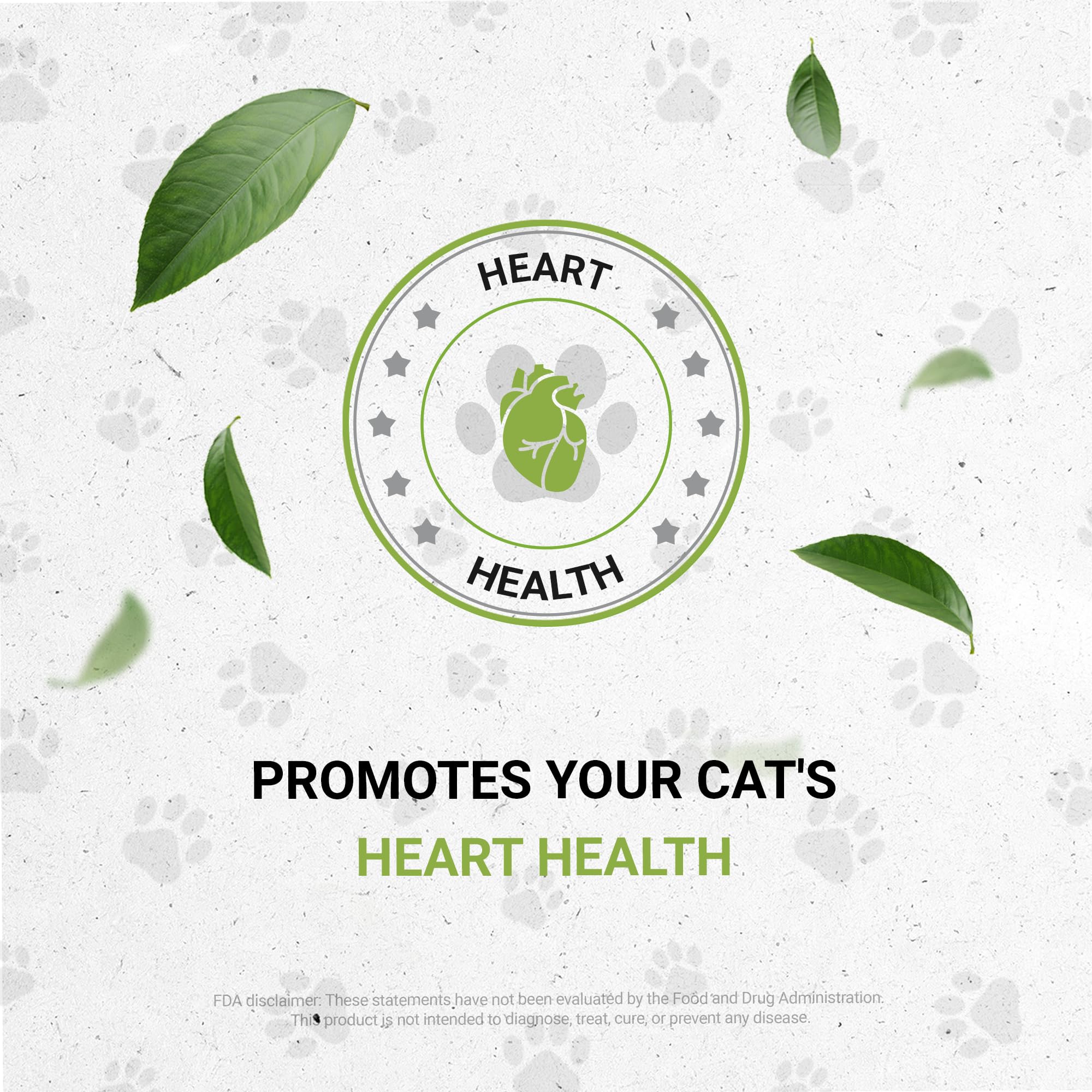 Lion's Heart | Natural Herbal Dietary Supplement for Cats | Healthy Heart Function Support in Cats | Alcohol-Free Extract, Hawthorn, Dandelion Leaf, Wood Betony, Valerian 2 oz