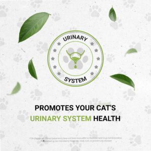 Lion's Urinary | Natural Herbal Dietary Supplement for Cats | Healthy Urinary System Support in Cats | Alcohol-Free Extract, Uva Ursi, Cranberry, Parsley Leaf, Dandelion Leaf, Stone Root 2 oz