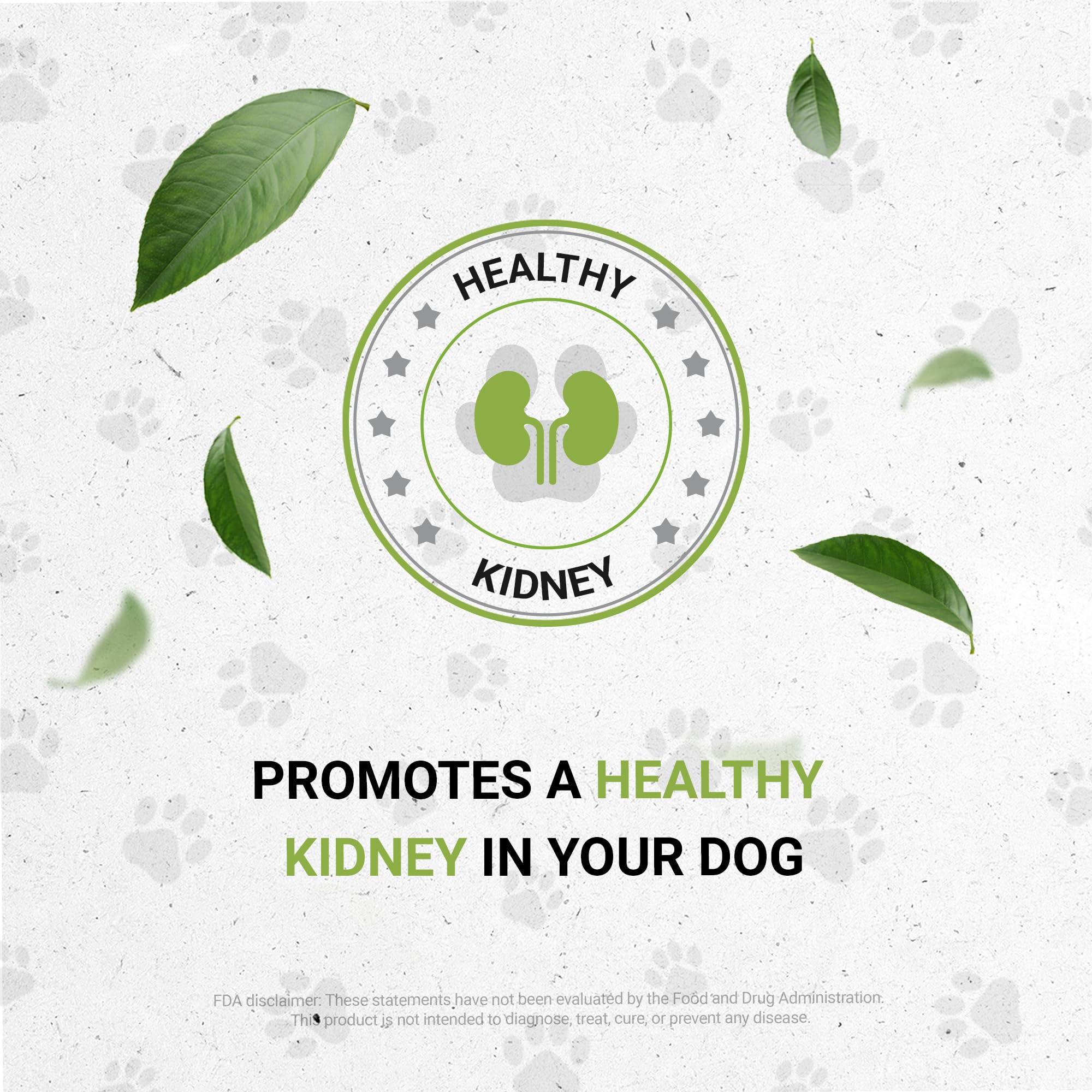 Wolf's Kidney | Natural Herbal Dietary Supplement | Healthy Kidney Function Support in Dogs | Alcohol-Free Extract, Rehmannia, Ginkgo, Echinacea, Marshmallow, Couch Grass, Hawthorn, Uva Ursi 2 oz