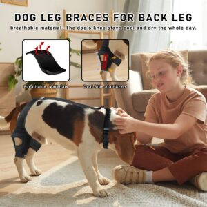 Dog Knee Brace,Dog Knee Brace for Torn Acl Hind Leg,Dog Leg Braces for Back Leg，Lick Sleeve for Dogs Rear Leg,Dog Hip Support Brace,Hip Dysplasia Brace for Dogs,Hip Brace for Dogs,Dog Hip Brace. (S)