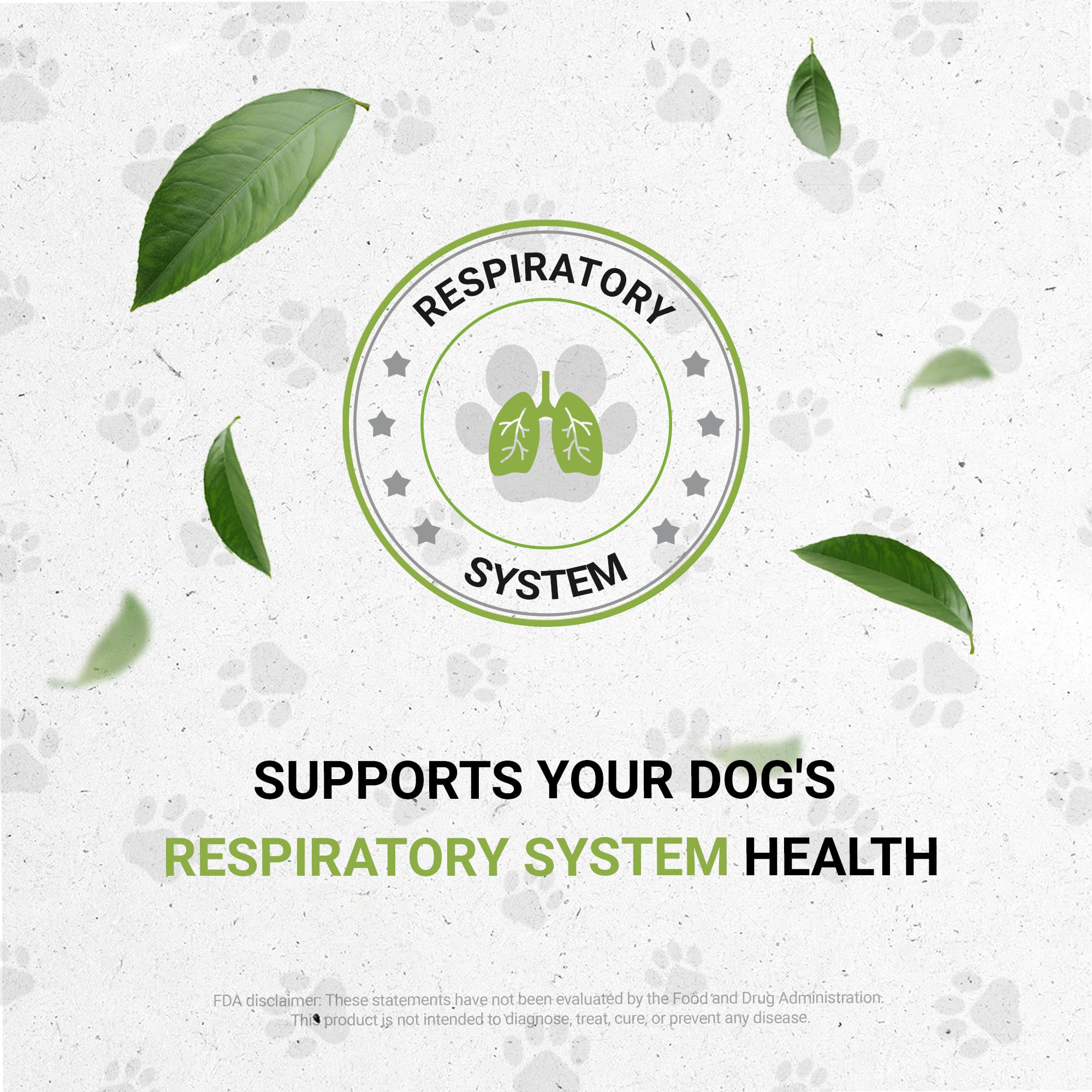 Wolf's Respiratory | Natural Herbal Dietary Supplement | Healthy Respiratory System Support in Dogs | Alcohol-Free Extract, Marshmallow Leaf, Astragalus, Chamomile, Calendula, Oregon Grape 2 oz