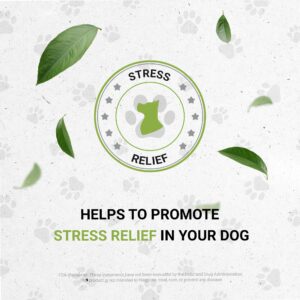 Wolf's Anxiety | Natural Herbal Dietary Supplement for Dogs | Support Stress Relief in Dogs | Alcohol-Free Extract, Ashwagandha, Valerian, St. John's Wort, Chamomile, Passionflower 2 oz