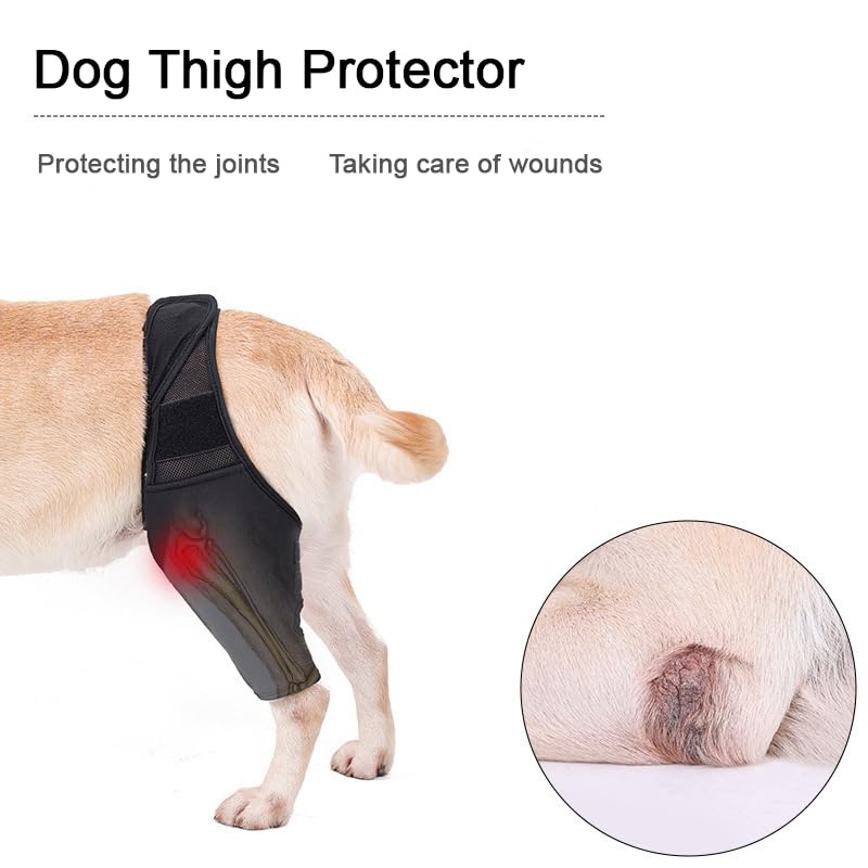 PEIFUKO Dog Knee Brace, Joint Braces to Protect The Knee, postoperative Rehabilitation Braces for securing Leg Straps (XL)