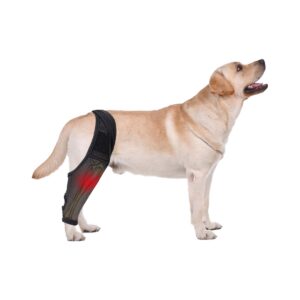 peifuko dog knee brace, joint braces to protect the knee, postoperative rehabilitation braces for securing leg straps (xl)