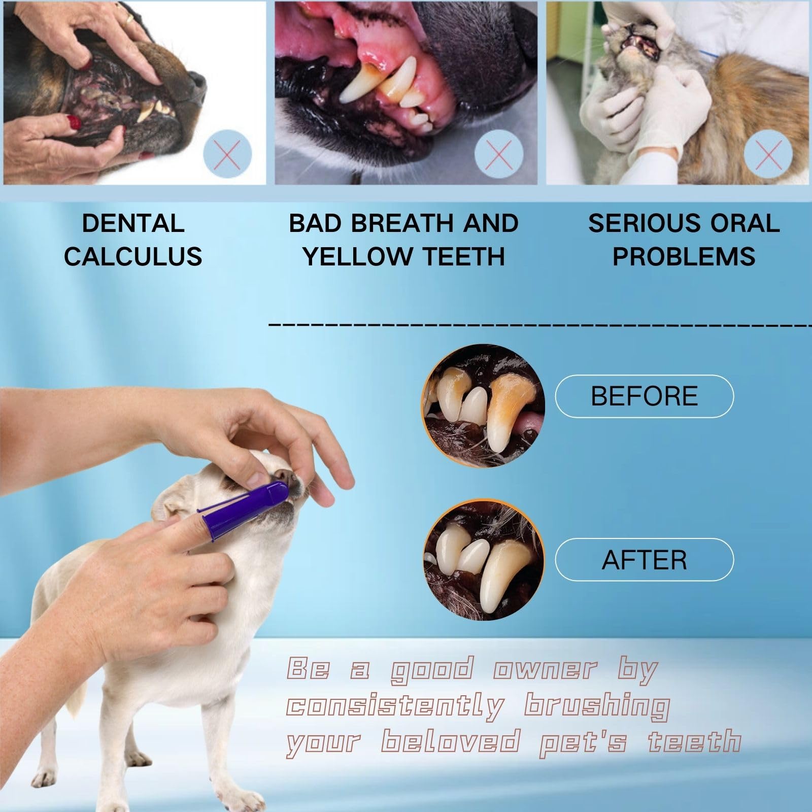 Pet Dog Dental Care Fresh Breath Kit with Dog Toothpaste, Dog Toothbrush and Finger Brush, Reduces Plaque & Cleans Tartar, Healthy & Clean Dog Teeth, Pet Toothpaste, Beef Flavor