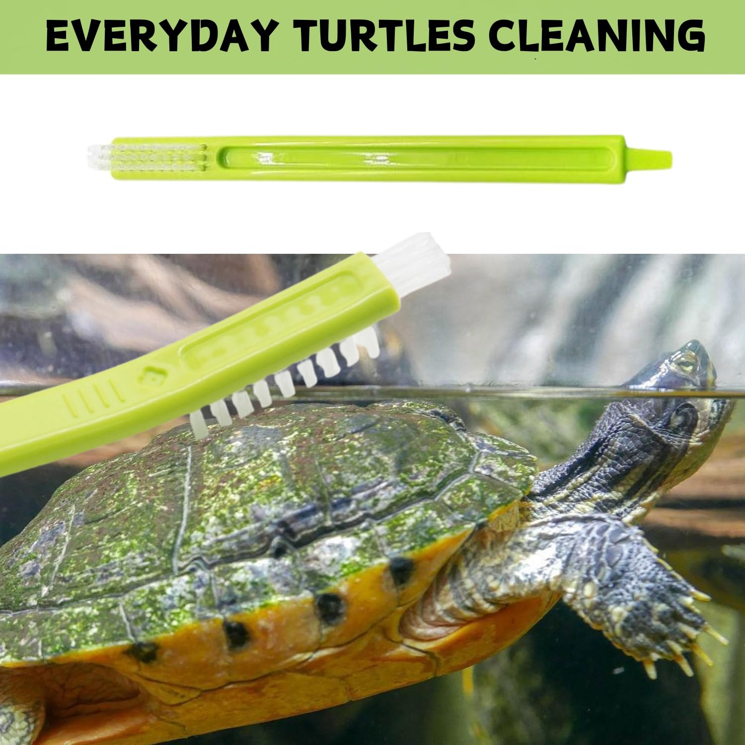 4 Pack Turtle Brush - Turtle Shell Cleaning Brush with Suction Cup for Tank Remove Aquatic Mud Dirt Tortoises Back Scratches Brush Promoting Shell Health for Red Eared Slider Turtle (4 Pack)