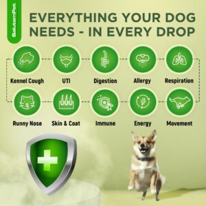 Natural Antibiotics for Dogs | Dog Antibiotics | Antibiotic for Dogs | Dog Antibiotic | Antibiotics for Dogs | Natural Ingredients| 2 Oz