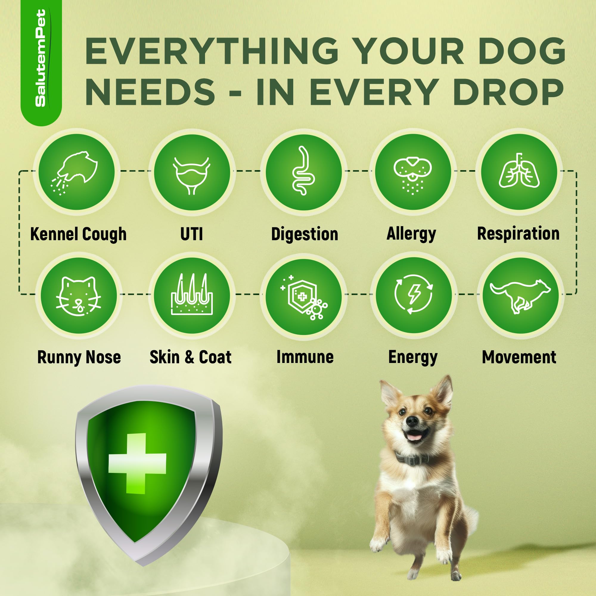 Natural Antibiotics for Dogs | Dog Antibiotics | Antibiotic for Dogs | Dog Antibiotic | Antibiotics for Dogs | Natural Ingredients| 2 Oz