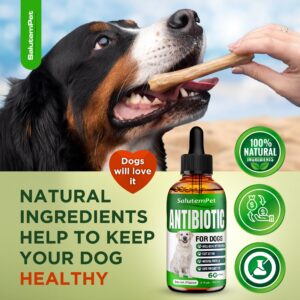 Natural Antibiotics for Dogs | Dog Antibiotics | Antibiotic for Dogs | Dog Antibiotic | Antibiotics for Dogs | Natural Ingredients| 2 Oz