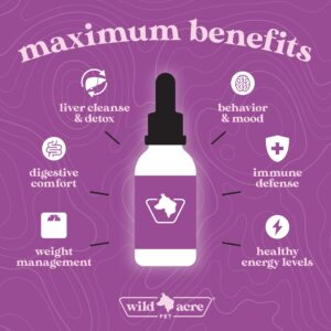 Wild Acre Milk Thistle for Dogs - Max Strength Liver Support, Cleanse & Detox - Natural Bacon Flavor - Simply Add to Food - Picky Pup Approved, 2 oz (60mL)