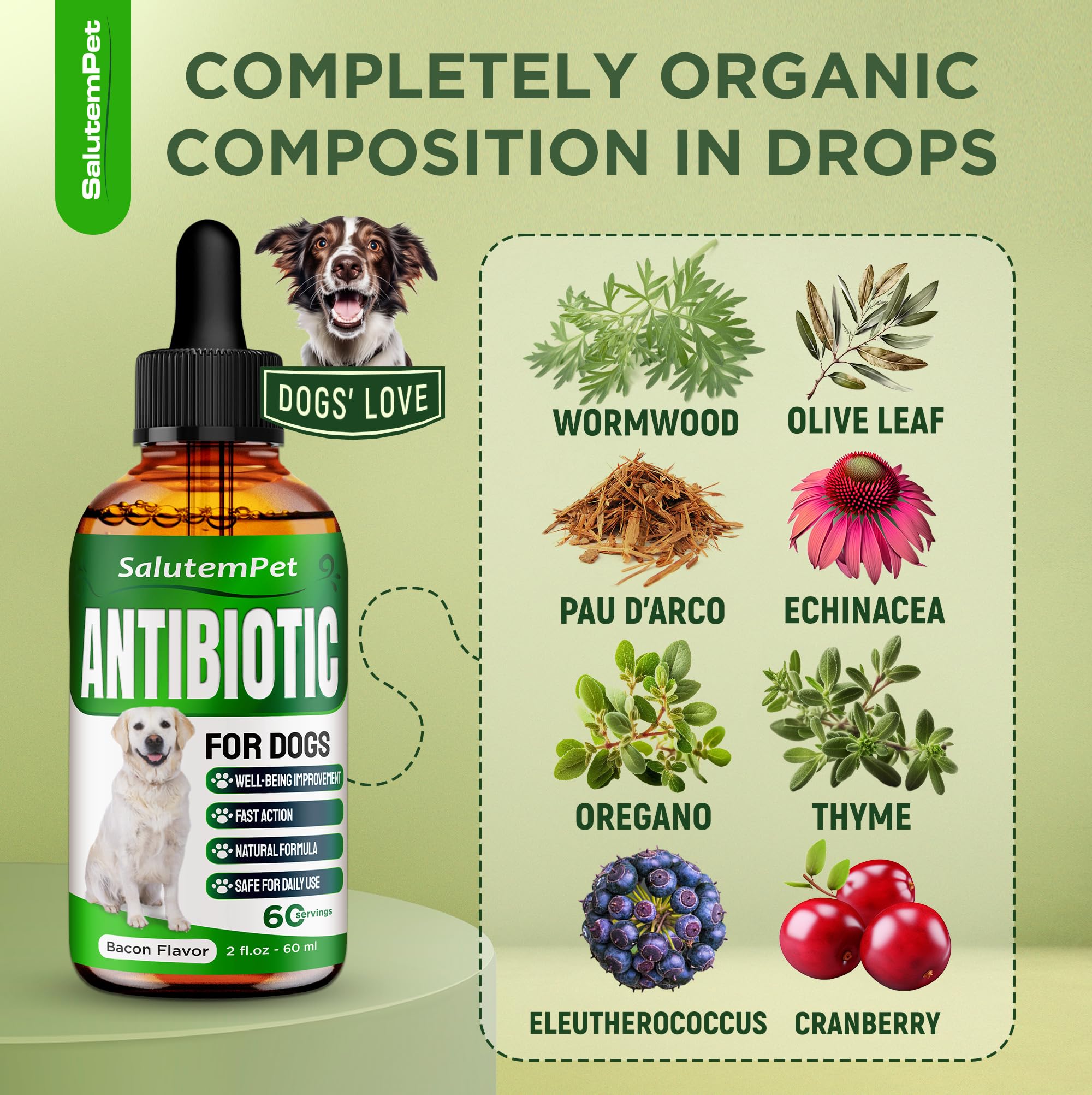 Natural Antibiotics for Dogs | Dog Antibiotics | Antibiotic for Dogs | Dog Antibiotic | Antibiotics for Dogs | Natural Ingredients| 2 Oz