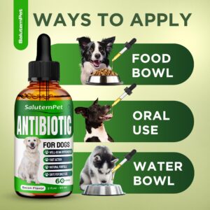 Natural Antibiotics for Dogs | Dog Antibiotics | Antibiotic for Dogs | Dog Antibiotic | Antibiotics for Dogs | Natural Ingredients| 2 Oz