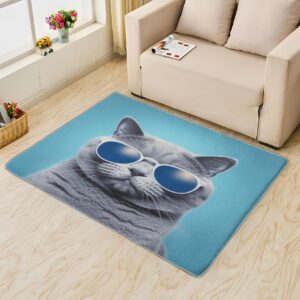 Generic Cat Rugs and Mats - 6x8 Rug - Cat Rug - Funny Cat Area Rug - Sunglasses Kitten Rugs - Blue Pet Print Carpet S-&20