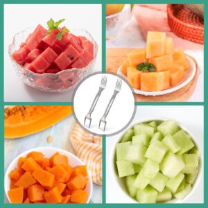 Aixoom 2PCS Watermelon Fork Cutter, 2-in-1 Stainless Steel Cutters, Dual Head Watermelon Slicer Knife, Kitchen Cutter Knife for Family