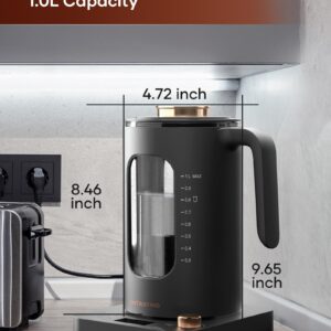 Electric Tea Kettle, INTASTING Glass Electric Kettle with tea Infuser and Precise knob temperature control, 1200W Fast Heating, BPA-Free, Easy to Clean, for Tea and coffee, Dark Grey