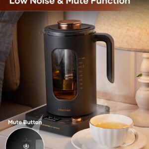 Electric Tea Kettle, INTASTING Glass Electric Kettle with tea Infuser and Precise knob temperature control, 1200W Fast Heating, BPA-Free, Easy to Clean, for Tea and coffee, Dark Grey