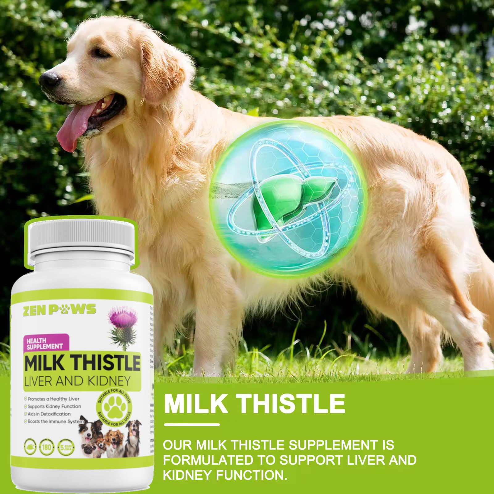 Zenpaws Milk Thistle for Dogs - 180 Chewable Tablets - Canine Liver and Kidney Support Supplement for Dogs - Detox for Dogs - Liver Supplement for Dogs, 800 mg