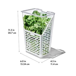 OXO Good Grips Produce Saver – Herb Keeper, 4.5 x 6.0 x 11.3 in, White