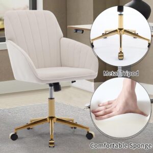 YITAI Velvet Office Desk Chair with Wheels and Gold Base,Modern Height Adjustable 360 Degree Swivel Upholstered Vanity Chairs with Arms for Living Room Bedroom, Study,Cream