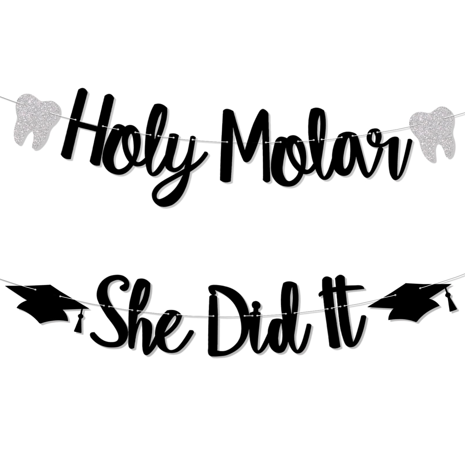 Holy Molar She Did It Banner, Hygienist Grad Decor, Hygiene Queen, Congrats RDH Banner, Dentist Graduation Party Decorations, New Dental Graduation Party Decorations Black Glitter