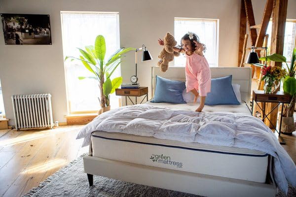 Kiwi Organic Mattress (King)