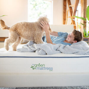 Kiwi Organic Mattress (Twin)