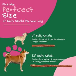 Willow&I Bully Sticks for Small Dogs & Medium - 6 Inch Bully Sticks for Dogs (6 Pack), Premium 100% Grass Fed Beef Pizzle Sticks for Dogs, Healthy Long Lasting Dog Chew Sticks All Natural Dog Treats