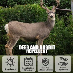 FANDISES Deer Repellent, Rabbit Repellent Outdoor, Deer and Rabbit Repellent for Plants, Powerful Rabbit Repellent for Garden, Deer Deterrent for Garden, Deer Away, Rabbit Deterrent for Yard - 8P