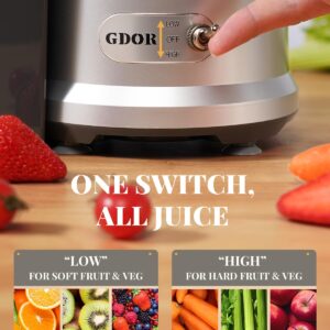 Powerful GDOR 1200W Juicer with Larger 3.2" Feed Chute, Titanium Enhanced Cutting System, Centrifugal Juice Extractor Maker with Heavy Duty Full Copper Motor, Dual Speeds, BPA-Free, Silver