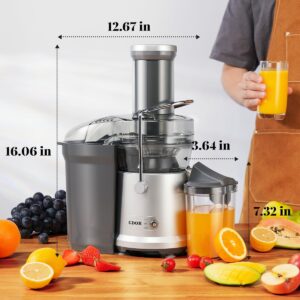 Powerful GDOR 1200W Juicer with Larger 3.2" Feed Chute, Titanium Enhanced Cutting System, Centrifugal Juice Extractor Maker with Heavy Duty Full Copper Motor, Dual Speeds, BPA-Free, Silver