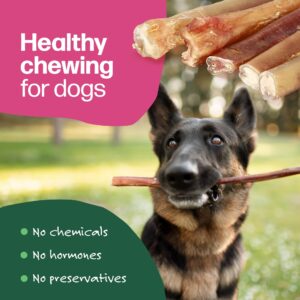 Willow&I Natural 12" Bully Sticks for Dogs - Premium Grass Fed Beef Chews- Bully Sticks for Large Dogs, Medium & Small Breeds- Odor Free, Healthy Long Lasting Treats for Teeth & Gums (5 Pack)