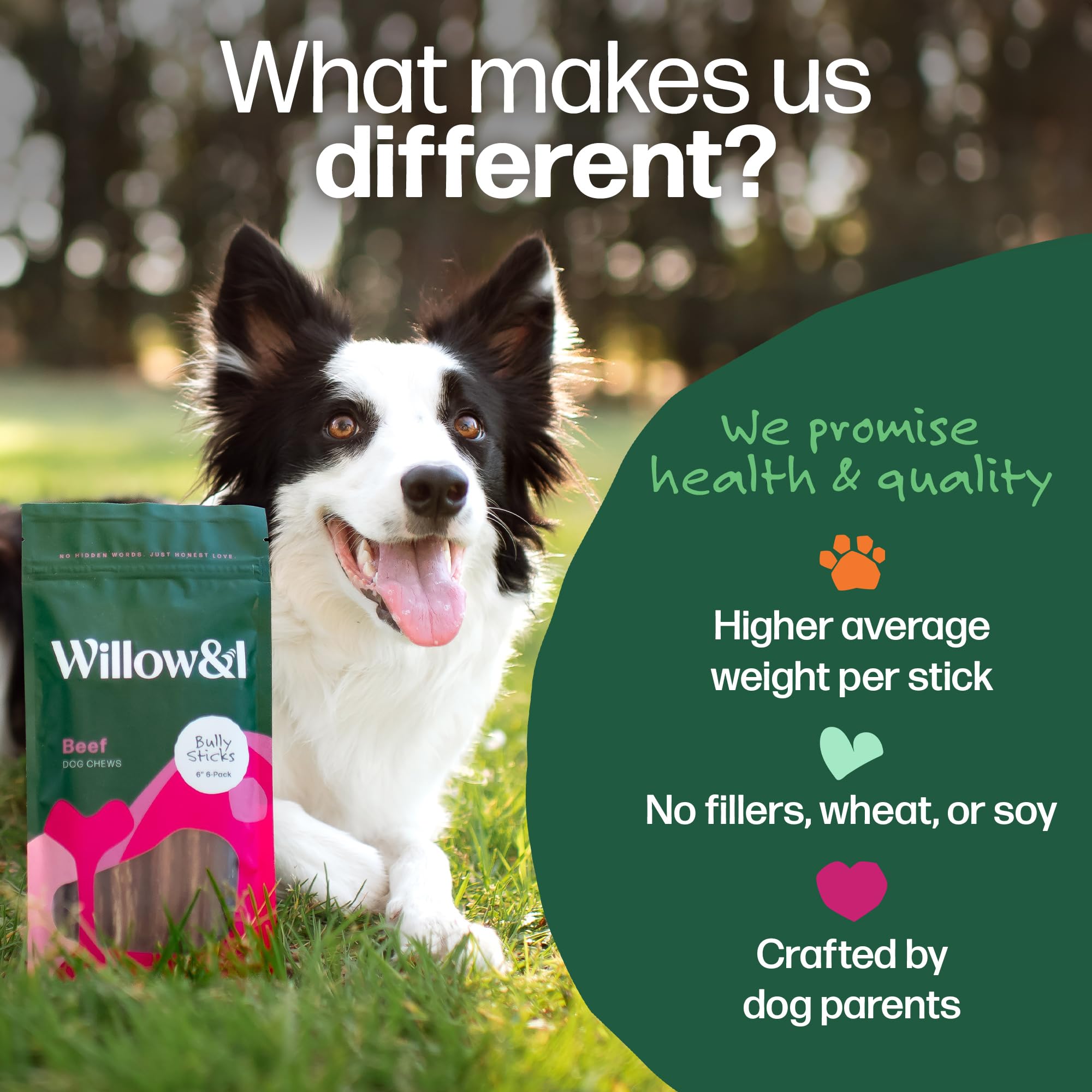 Willow&I Bully Sticks for Small Dogs & Medium - 6 Inch Bully Sticks for Dogs (6 Pack), Premium 100% Grass Fed Beef Pizzle Sticks for Dogs, Healthy Long Lasting Dog Chew Sticks All Natural Dog Treats