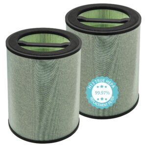 byseacore true hepa filter compatible with wyze smart air purifier, true hepa(h13) filter replacement with activated carbon filter, standard filter, 2 count