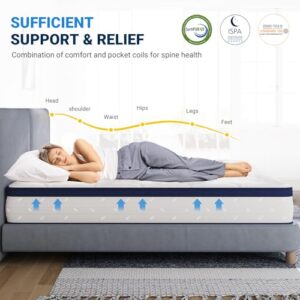 Avenco 10 Inch Full Size Mattress, Full Mattress in a Box for Pain Relief & Motion Isolation, CertiPUR-US Certified Full Bed Mattress