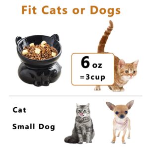 Elevated Cat Bowls, 15° Tilted Raised Cat Food Bowl Anti-Vomiting,Whisker Friendly, Cat Dishes for Protecting Spine (Black)