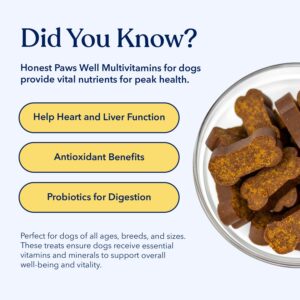 Honest Paws Dog Multivitamin Soft Chews - Joint Flexibility Mobility Support - Soft Shiny Healthy Coat - Immune, Eye, Heart Support - Glucosamine & Chondroitin, Omega-3 Fatty Acids - Beef Flavor