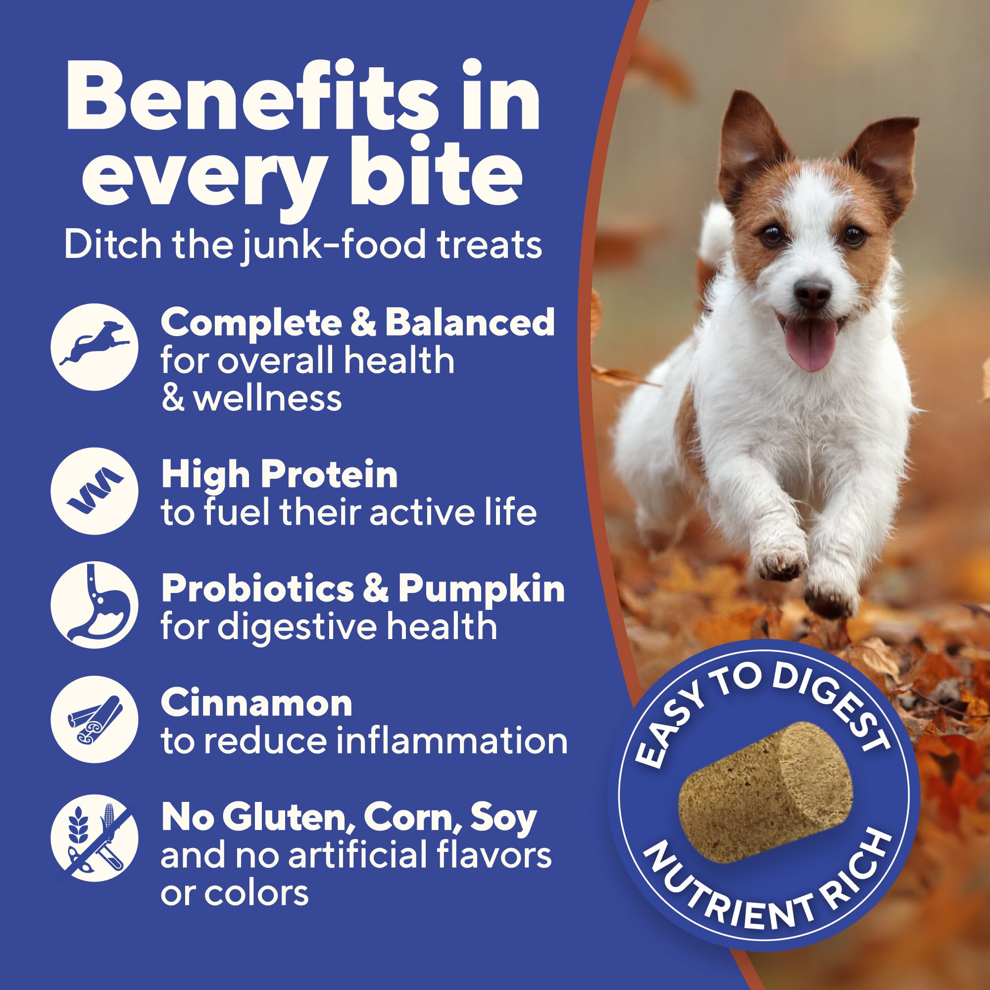 Dave's Pet Food Digesti-Bites Easy to Digest Freeze Dried Chicken Dog Treats with Pumpkin Fiber & Probiotics, Complete & Balanced Nutritious, Freeze Dried Dog Food Topper, USA Made (12 oz)