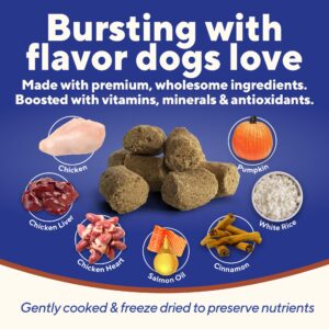 Dave's Pet Food Digesti-Bites Easy to Digest Freeze Dried Chicken Dog Treats with Pumpkin Fiber & Probiotics, Complete & Balanced Nutritious, Freeze Dried Dog Food Topper, USA Made (12 oz)