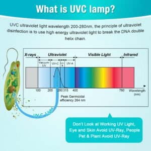 Qualirey 8W UV Lamp Ozone Free, 253.7nm Wavelength UVC Light Bulb 110V with ON/Off Switch Cord, Plug, Connector and Screw Tools for Closet/Cabinet/Bathroom