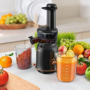 TUUMIIST Juicer Machines, Cold Press Juicer for Vegetable and Fruit with Upgraded Slow Juicing Technology, Powerful Motor and Reverse Function, Compact Size for Space-Saving Juicer, Black Gold