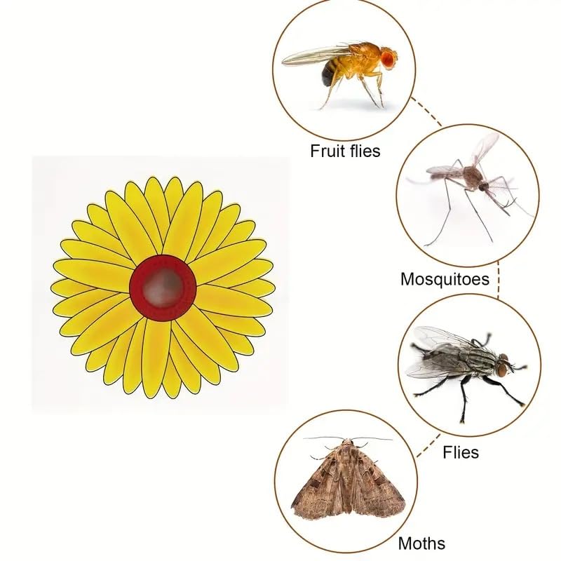 Window Fly Trap Fruit Fly Trap Indoor | Catch & Kill Houseflies, Flying Insects & Bugs | Non-toxic Sticky Glue Traps | Beautiful Sunflower Design not only as a Fly Trap but also a Decoration 20 Pack