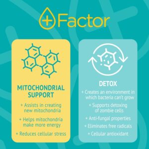 Plus Factor Cellular Boost Complex - 3% USP Grade Methylene Blue & Silver Nano Particles - Improved Focus & Memory - Mitochondria Booster - 30ml