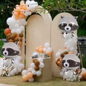 Raccoon Balloons, 6 Pcs Cute Raccoon Foil Balloons, Cartoon Myalr Raccoon Balloons for Woodland Animal Themed Party Camping Birthday Baby Shower