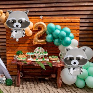 Raccoon Balloons, 6 Pcs Cute Raccoon Foil Balloons, Cartoon Myalr Raccoon Balloons for Woodland Animal Themed Party Camping Birthday Baby Shower