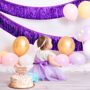 C＆B Purple Fringe Banner for Party Decorations,6.07 Ft Hanging Fringe Tinsel Garland, Metallic Foil Purple Streamer Photo Backdrop for The 70s & 80s Last Disco Bachelorette Party, Birthday Party Decor