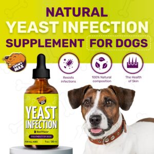 Dog Allergy Relief | Dog Ear Infection Treatment | Yeast Infection Treatment for Dogs | Reduces Irritation & Inflammation | Itchy Ear Relief for Dogs | Beef Flavor | 1 Oz