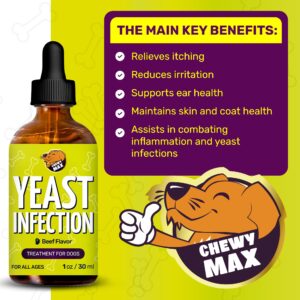 Dog Allergy Relief | Dog Ear Infection Treatment | Yeast Infection Treatment for Dogs | Reduces Irritation & Inflammation | Itchy Ear Relief for Dogs | Beef Flavor | 1 Oz