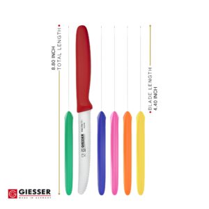 Giesser since 1776, Made in Germany, Colorful serrated Utility kitchen knives round tip dishwasher safe 4.5 inch - paring knife, Tomato knife, Steak knives set of 6, restaurant knife