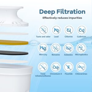 Water Pitcher & Dispenser Replacement Filter, Compatible with HEYAXA Water Pitcher, Removes Fluoride, Lead, Forever Chemicals, Heavy Metals, Chemicals, Industrial Pollutants/Filters 200 Gallons