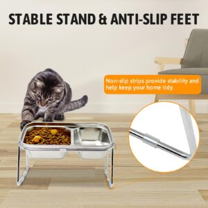 BNOSDM Raised Cat Bowls Stainless Steel 15° Tilted Elevated Kitten Food Bowl Stand, Double Food and Water Bowl Set Pet Anti Vomiting Feeder and Scoop Anti Slip Feet for Cats and Small Dogs